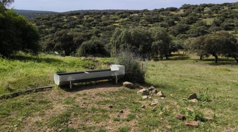 Córdoba - Fuente Obejuna - 175982m2