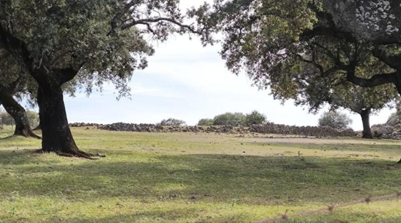 Córdoba - Fuente Obejuna - 175982m2
