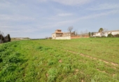 Detached villa with land for sale on España, Íllora, ref: TR269896 photo