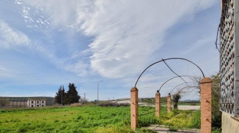 Гранада - Íllora - 1822m2