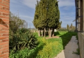 Detached villa with land for sale on España, Íllora, ref: TR269896 photo