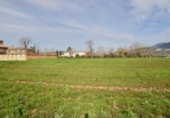 Detached villa with land for sale on España, Íllora, ref: TR269896 photo