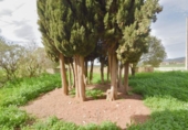 Detached villa with land for sale on España, Íllora, ref: TR269896 photo