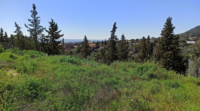 Córdoba - Córdoba - 1203m2