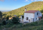 Casa de camp amb terreny en venda a la España, Freginals, ref.: TR408597 foto