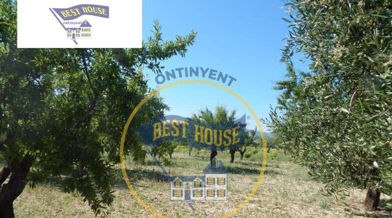 Valencia - Onteniente - 4833m2