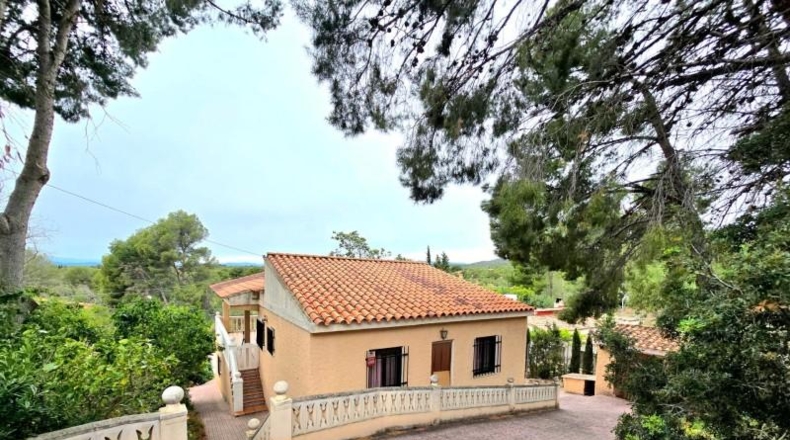 València - Olocau - 299m2