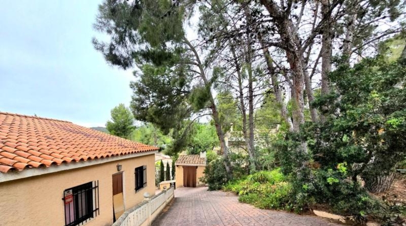 València - Olocau - 299m2