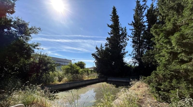 Córdoba - Córdoba - 1800m2
