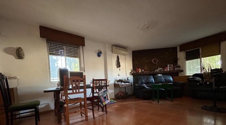 Córdoba - Córdoba - 1800m2