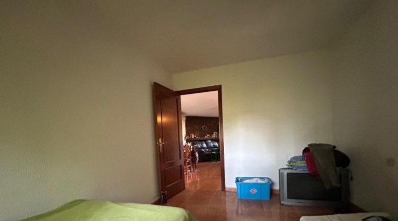 Córdoba - Córdoba - 1800m2