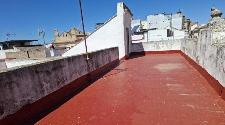 Córdoba - El Carpio - 595m2