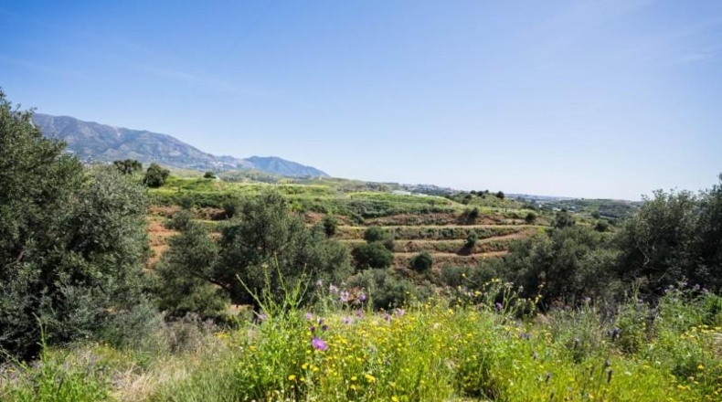 Малага - Mijas - 29719m2