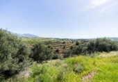 Terreny no urbanitzable en venda a la España, Campo-Mijas, ref.: TR286894 foto