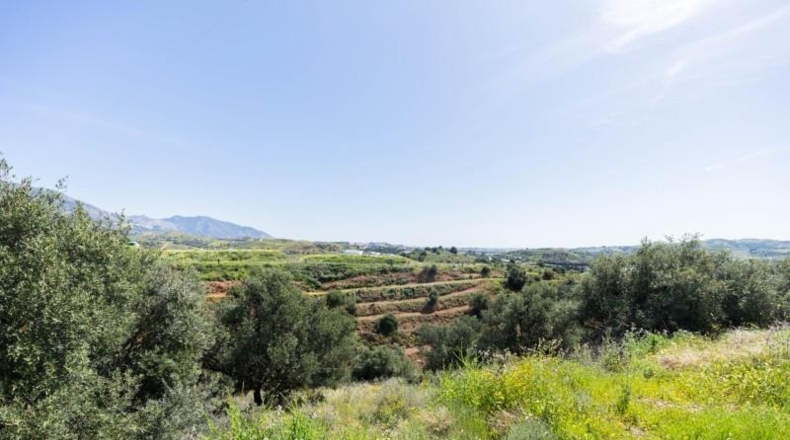 Малага - Mijas - 29719m2