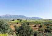 Terreny no urbanitzable en venda a la España, Campo-Mijas, ref.: TR286894 foto