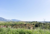 Terreny no urbanitzable en venda a la España, Campo-Mijas, ref.: TR286894 foto