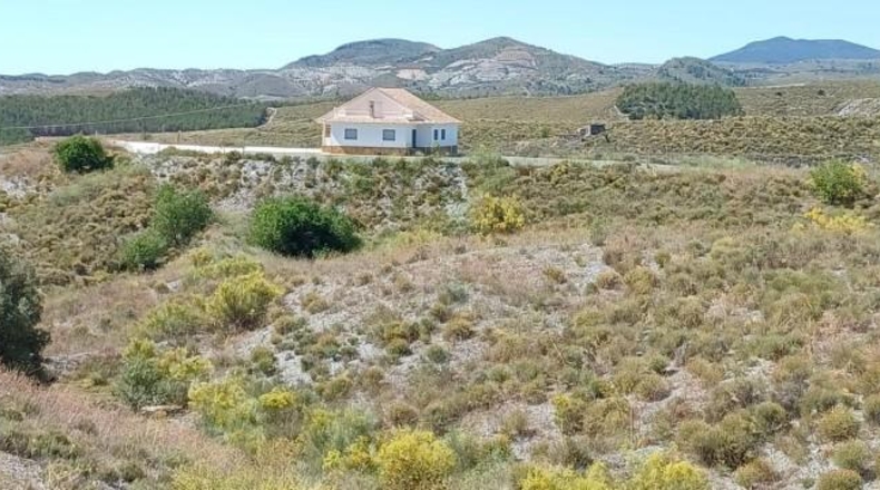 Murcia - Пуэрто Лумбрерас - 20000m2