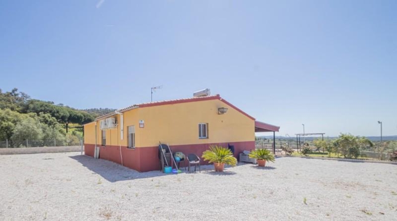 Sevilla - El Pedroso - 19000m2