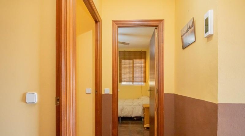 Sevilla - El Pedroso - 19000m2
