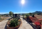 Finca rústica en venda a la España, Santa Margarida de Montbui, ref.: TR298907 foto