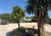 Detached villa with land for sale on España, Alcalá de Guadaíra, ref: TR409882 photo