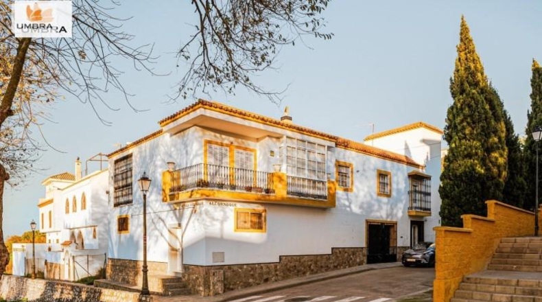 Cádiz - Medina Sidonia - 482m2
