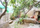 Casa de poble en venda a la España, Guardamar del Segura, ref.: TR349847 foto