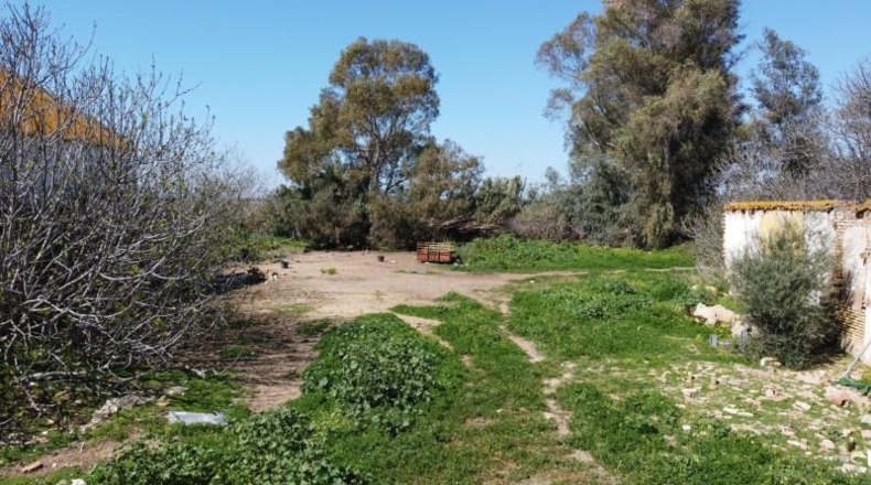 Huelva - Huelva - 4642m2