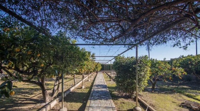Alicante - Las Bayas - 4000m2