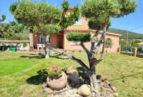 Calonge 603&nbsp;m² 