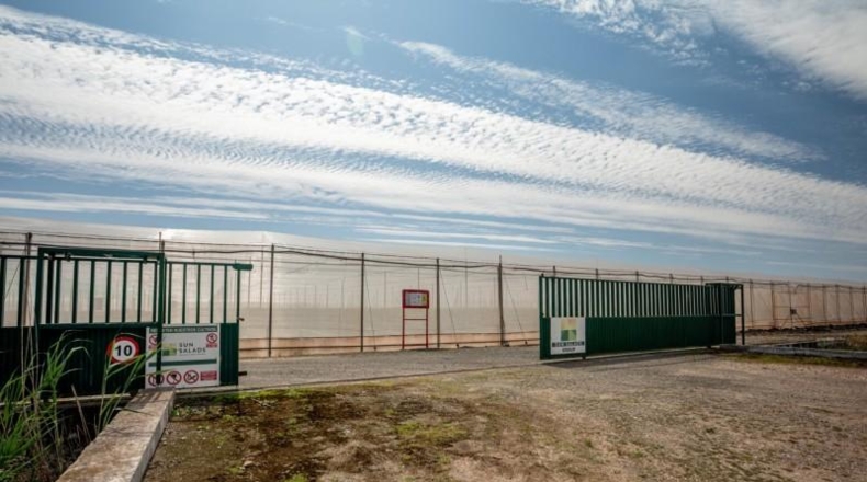 Sevilla - Utrera - 111155m2