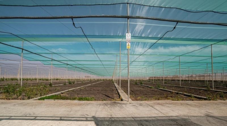 Sevilla - Utrera - 111155m2