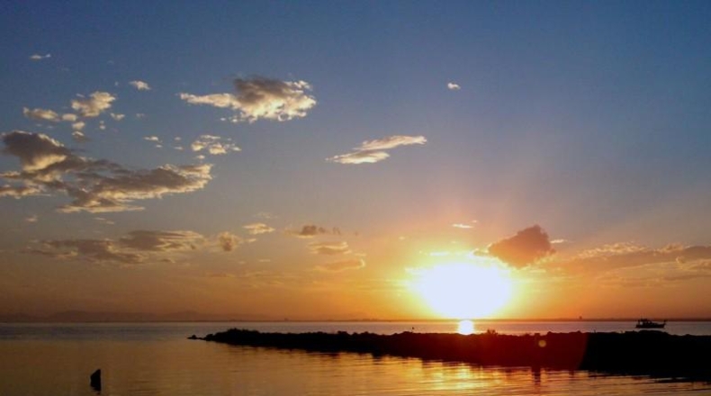 Murcia - San Javier - 806m2