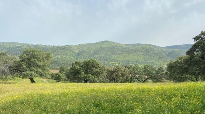 Sevilla - Cazalla de la Sierra - 550000m2