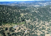 Casa amb terreny en venda a la España, Cazalla de la Sierra, ref.: TR398433 foto