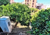 Городская земля под застройку на продажу у города Sant Pere de Ribes Фото