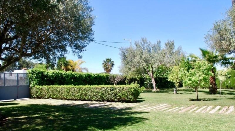 Valencia - San Antonio de Benagéber - 2416m2