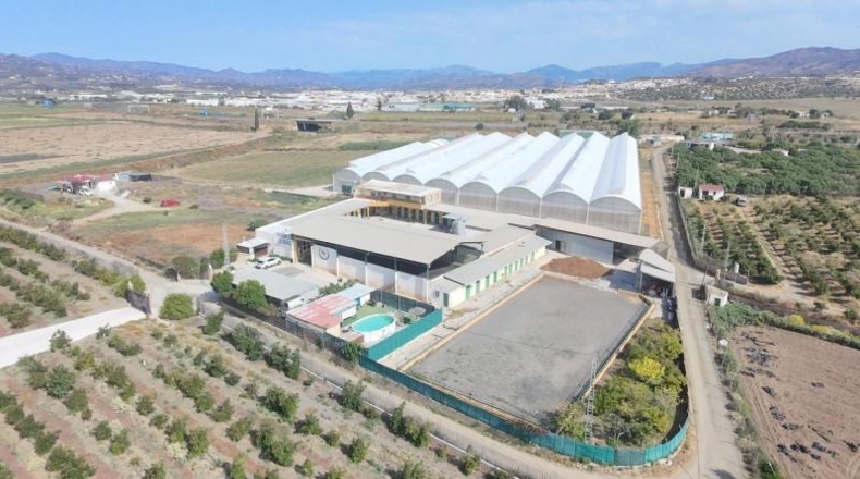 Málaga - Torre del Mar - 4000m2