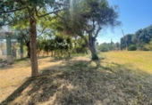 Casa de campo con terreno en venta en la España, Ayamonte, ref: TR320992 foto