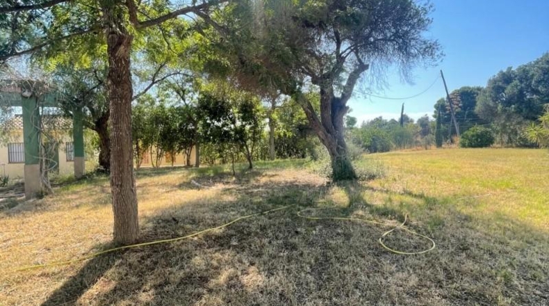 Huelva - Ayamonte - 18187m2