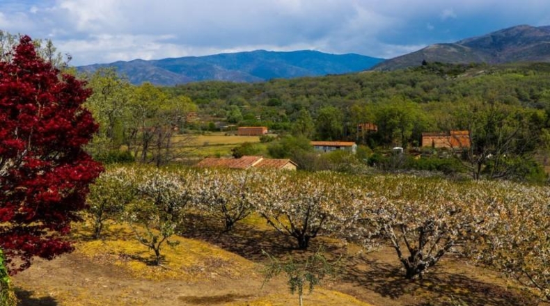 Cáceres - Jarandilla de la Vera - 675m2