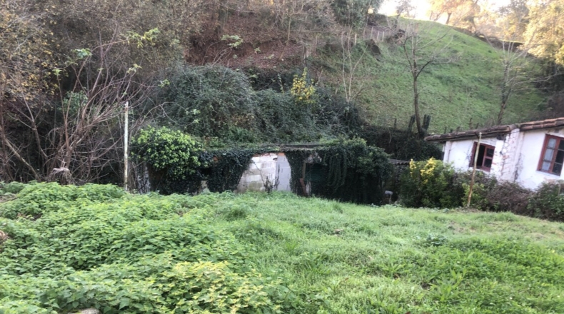 Cantabria - Viérnoles - 979m2