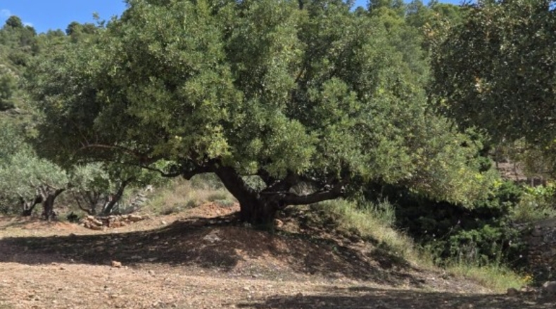 Castellon - Castellnovo - 60m2