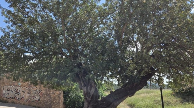 Castellon - Castellnovo - 60m2
