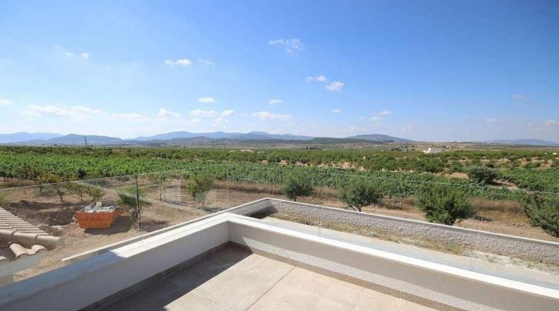 Alicante - Pinoso - 10000m2
