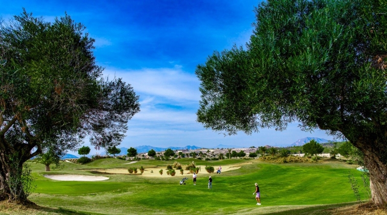 Alicante - Orihuela - 81m2