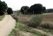 Non-developable land for sale on Calle de la Constitución, Navalcarnero, ref: TR410609 photo