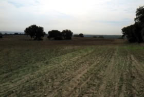 Navalcarnero 30000&nbsp;m² 