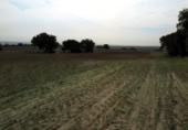 Non-developable land for sale on Calle de la Constitución, Navalcarnero, ref: TR410609 photo